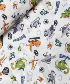 自然21(二紗)恐龍石器