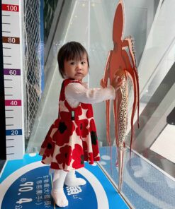 小v肩扣蓬裙洋裝-訂製 花68