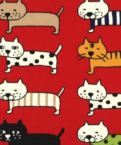 動物34(牛津)-方向貓咪