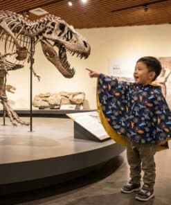 抗風防雨雙面斗篷-訂製 自然22vs黃色防水