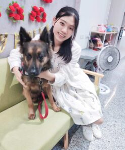 綁帶連身(無袖)仙女洋-訂製 名8(缺料)