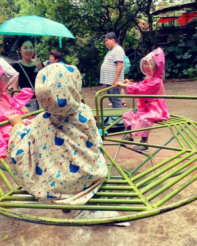 340301851 244145154768953 2041133686502978790 n