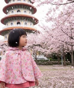 抗風防雨雙面斗篷-訂製 和風44vs粉色防水 年節