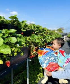 抗風防雨雙面斗篷-訂製 和風11vs黃色