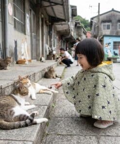 抗風防雨雙面斗篷-訂製 和風49vs黃色防水