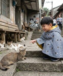 抗風防雨雙面斗篷-訂製 和風48vs黃色防水